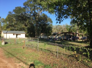 2007 N Washington Ave Cleveland TX 77327 Back Entrance