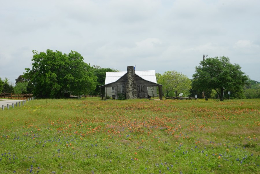 2020 Bluebonnet Safari 4